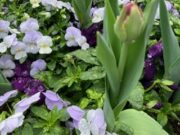 川崎市内の学校に通うどの子どもたちにもお祝いを!