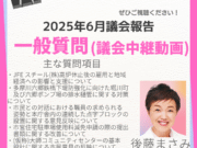 2025年第二回川崎市議会定例会、後藤真左美議員の一般質問